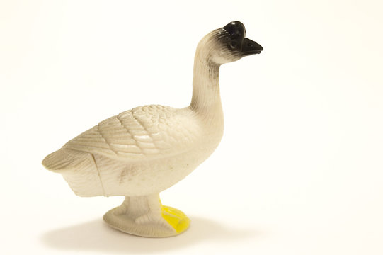 Toy plastic duck on a white background.