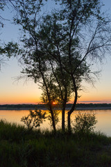 Naklejka na ściany i meble tree silhouette on the river on a sunset background
