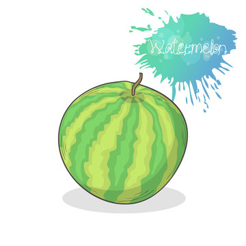 Watermelon icon isolated on a white background.Summer fruit illustration hand draw in doodle style