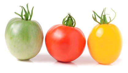 red yellow and green tomatoes isolated on white background