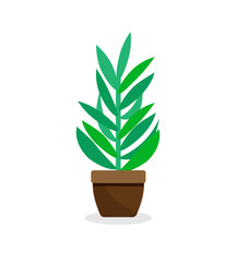 Green indoor plant in pot - flat illustration on white background. House Plant - Isolated vector Icon.