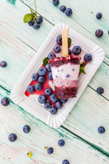 Naklejka na ściany i meble Blueberry ice cream on a stick - healthy diet