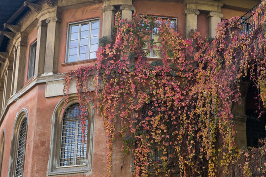 Palazzo d'epoca coperto di foglie in autunno a Roma