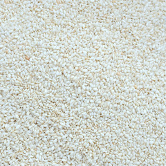 Close up white sesame use for background, pattern and texture.