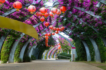 Park walk path with flowers in Southbank, Brisbane