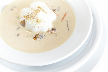 Mushroom cream soup on white background