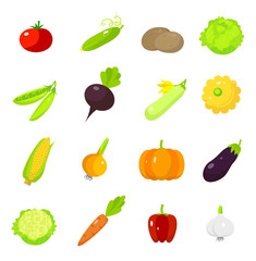 Vegetable harvest icons set: tomato, cucumber, potato, cabbage, peas, beet, zucchini, squash, corn, onion, pumpkin, eggplant, cauliflower, carrot, pepper, garlic, flat design, vector illustration
