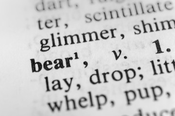 Obraz premium Bear