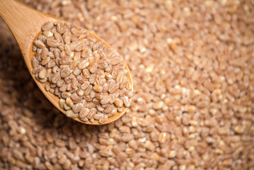 food background. wheat grain in the wooden spoon. top view
