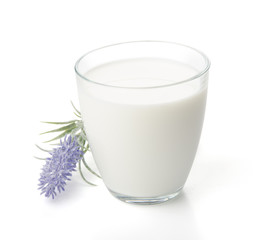 Obraz na płótnie Canvas milk in a glass cup with Lavender