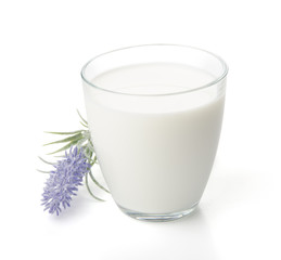 milk in a glass cup with Lavender