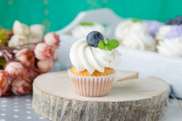 Summer cupcakes with blueberries and mint flavoured cream. Homemade.