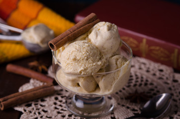 Homemade organic Eggnog Ice Cream with cinnamon and spices. Selectiv focus.