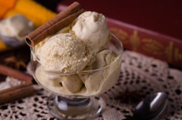 Homemade organic Eggnog Ice Cream with cinnamon and spices. Selectiv focus.