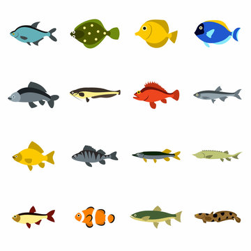 Flat fish icons set. Universal fish icons to use for web and mobile UI, set of basic fish elements isolated vector illustration