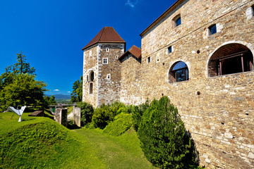 Fototapeta na wymiar City of Ljubljana historic citadel