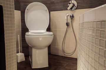 Toilet room in Scandinavian style, decorated with white built-in toilet bowl, hygienic shower and white brush for cleaning