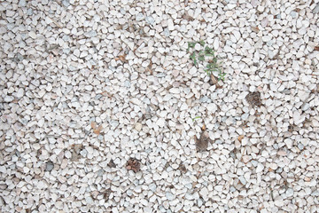 pebbles background