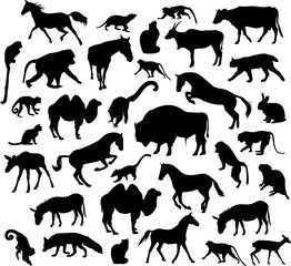 Fototapeta premium Sylwetki zwierząt