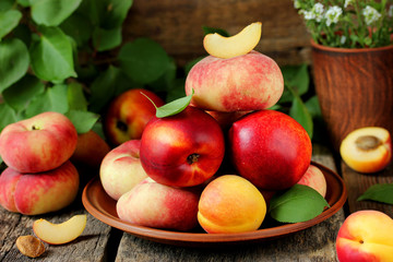 Fresh ripe fruit peaches, nectarines, apricot © san_ta