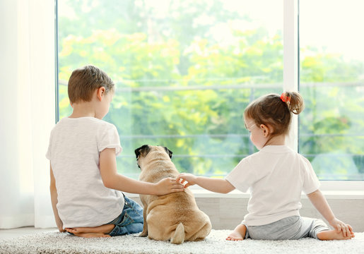 Back of kids and pug at home