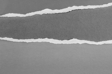 Ripped paper