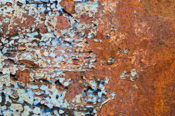 A background of peeling paint and rusty old metal