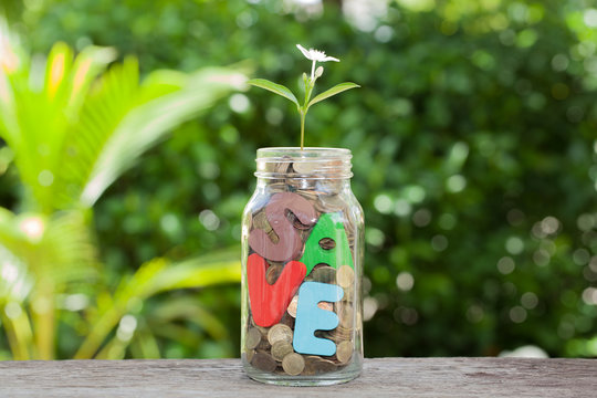 save money for investment concept money in jar and plant, Busine