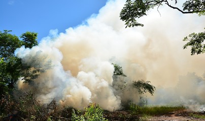 Smoke / smoke from burning forests . environment And the atmosphere