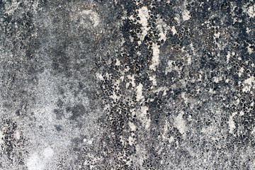 Obraz premium wood texture. background old panels