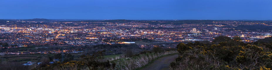 Fototapeta na wymiar Aerial panorama of Belfast