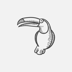 Toucan sketch icon.