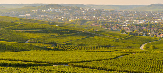 Champagne vineyards in Marne department, France