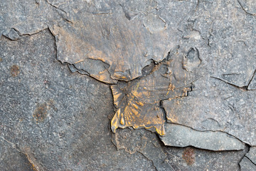 A background of peeling paint and rusty old metal