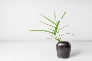 Bamboo leaf in vase