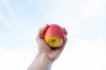 red yellow apple in hand with cloud sky background