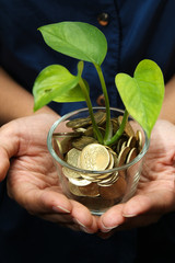 Business concept of financial growth with hands holding glass with plant growing from coins
