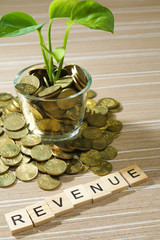 Business concept of financial revenue with plant growing out of glass of money