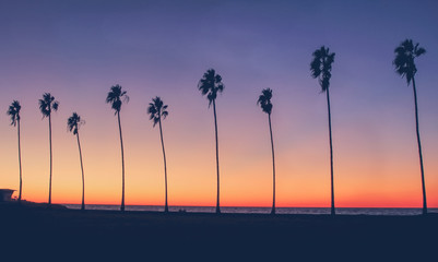 Vintage California Beach Photo - Row of palm trees silhouettes during a colorful sunset at the...