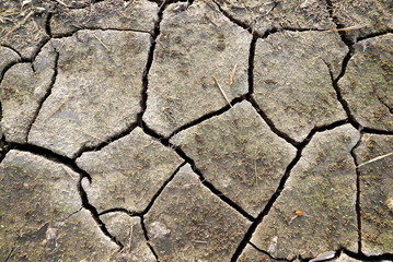 cracked dry land texture closeup background, global warming and climate change concept 