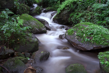 Waterfall in summer near Fern