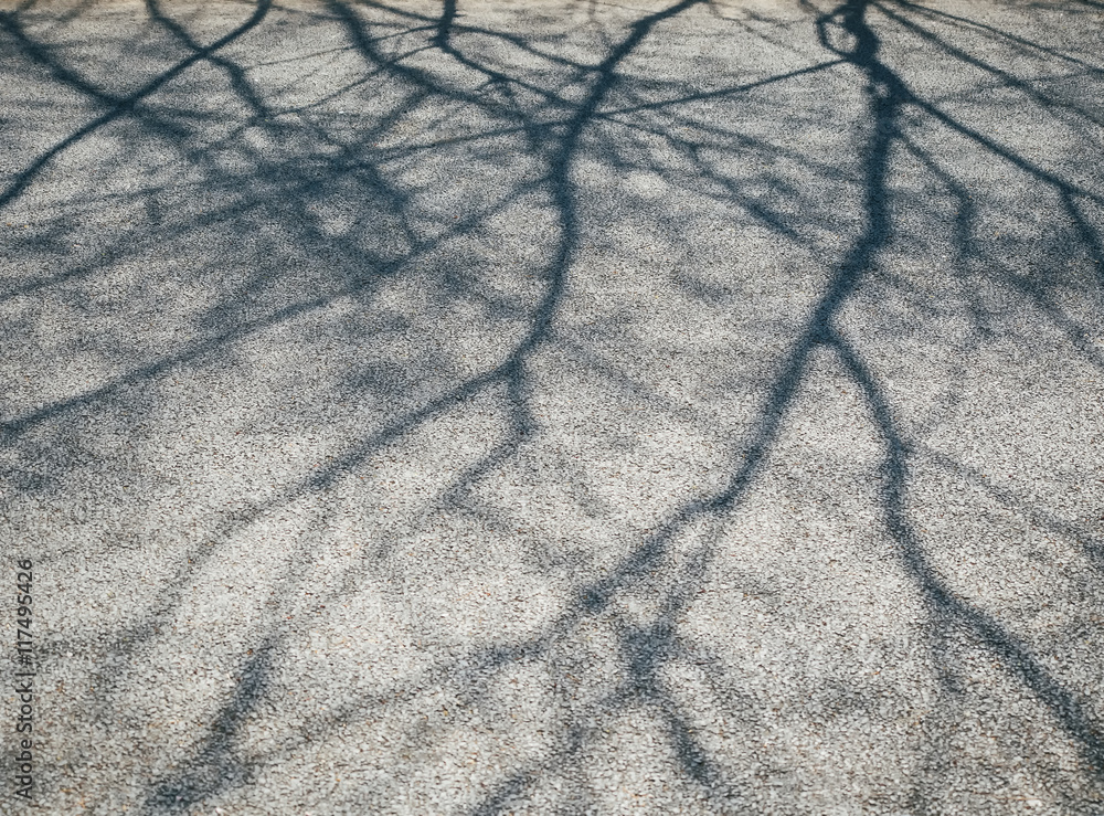 Aufkleber Tree Branches shadow on cement Nature Abstract background
