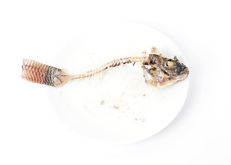 Close up of Fishbone on white dish