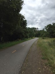 Fototapeta na wymiar bike path