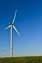 Windmills for electric power production on blue sky