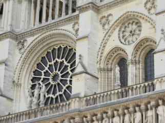 Fototapeta na wymiar Cathedrale de Saintes 