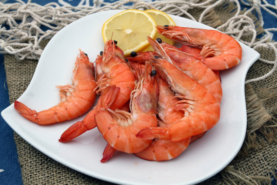 crevettes 05082016