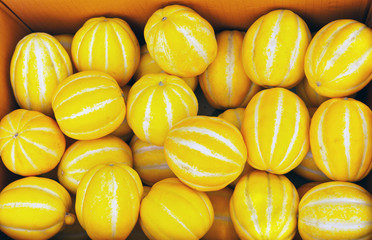 Korean little striped melons in a box or locally known as chamoe. Fruit background