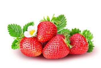 red ripe strawberries with green leaves and flower isolated on w