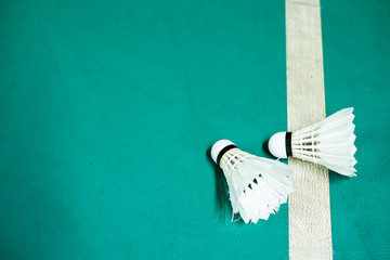 Shuttlecock on badminton playing court  